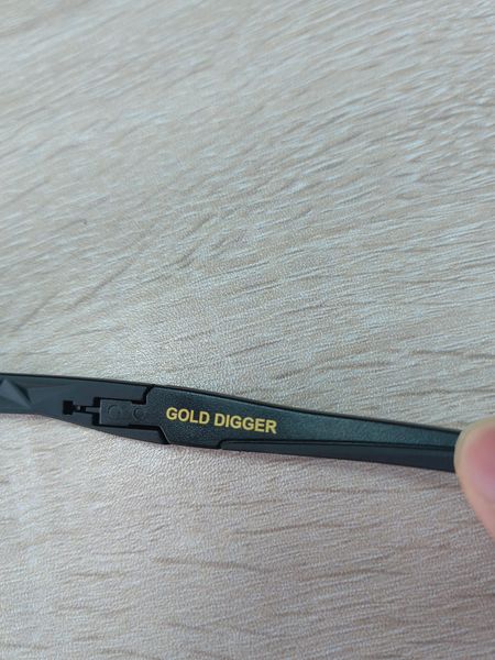 GOLD DIGGER
